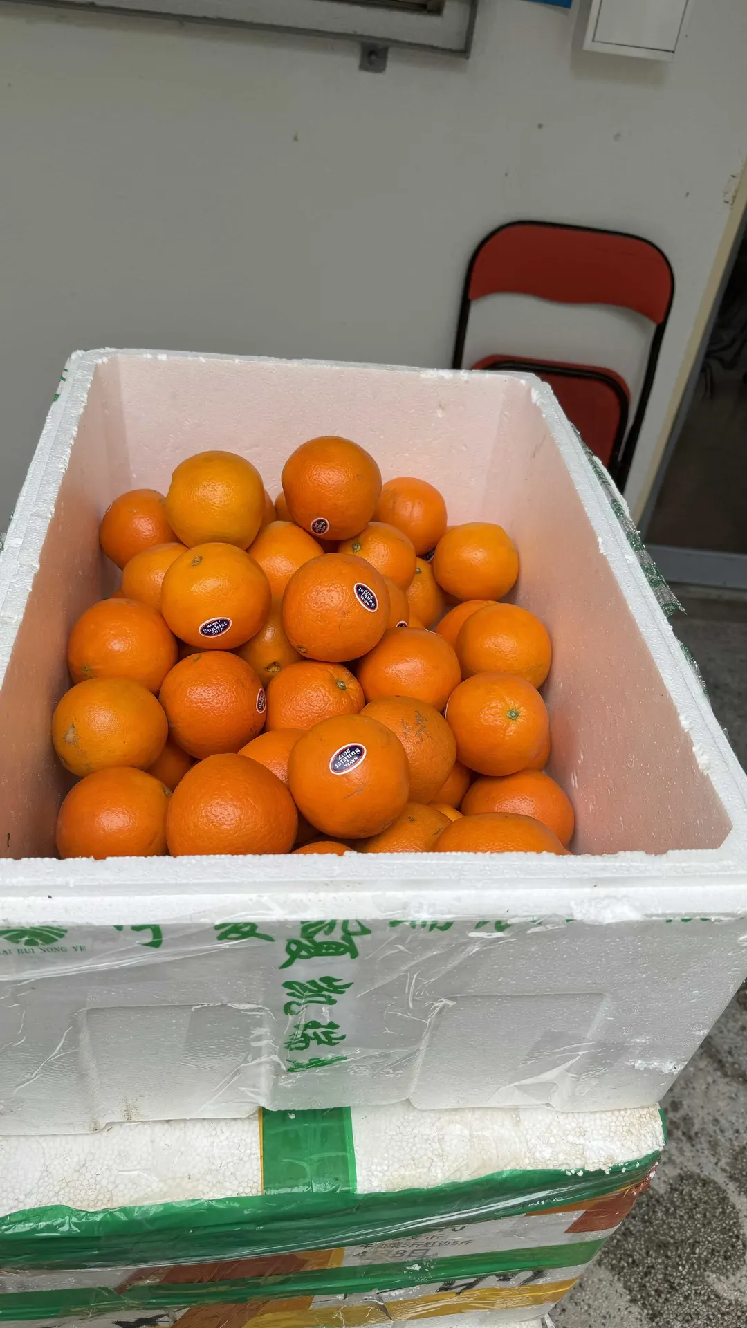 明鑄慈善基金與名人黎諾懿、陳藹怡議員等人攜手垂范，親力親為，為基層市民提供溫暖。